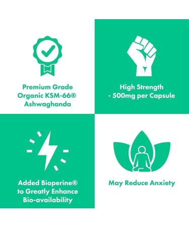 Organic Ashwagandha KSM-66 500mg | 5% Withanolides & Bioperine | 60 Vegan Capsules - Buy Online on GoSupps.com