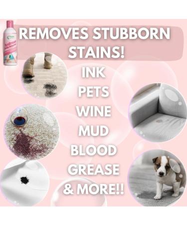 EcoEraser Stain & Odor Remover | Liquid Carpet Rug & Upholstery Cleaner | 32 oz Pet Deodorizing Spot Cleaner - Buy Online on GoSupps.com