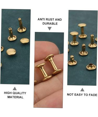 NUOBESTY 40 Sets Rivet Helix Stud Digital Food Scale Studded Belt Studs for Leather Repair Double Sided Brass - Buy Online on GoSupps.com