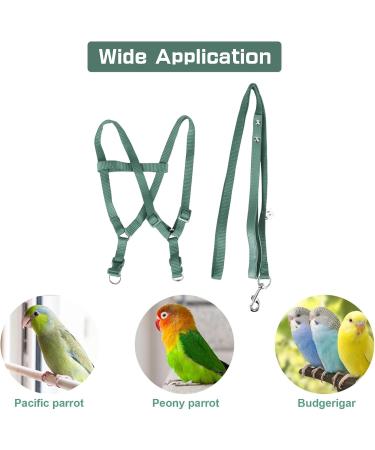 Felenny Bird Dishes & Adjustable Leash - Essential Outdoor Accessories for Scarlet Red Ara Sun Conure & Nymphensittich (Green Small) - Buy Online on GoSupps.com