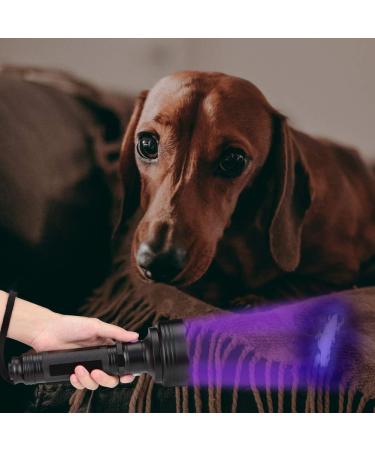 Youthink 2 in 1 UV Flashlight - 100 LED Handheld Black Light with 75 UV & 25 White LEDs | Ideal for Home & Outdoor Use | International Shipping - Buy Online on GoSupps.com