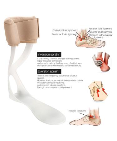 Foot Drop Orthosis Ankle Brace - FDA Approved Splint for Right Foot | M Size (39-45 m) - Best Support for Foot Drop Posture - Buy Online on GoSupps.com
