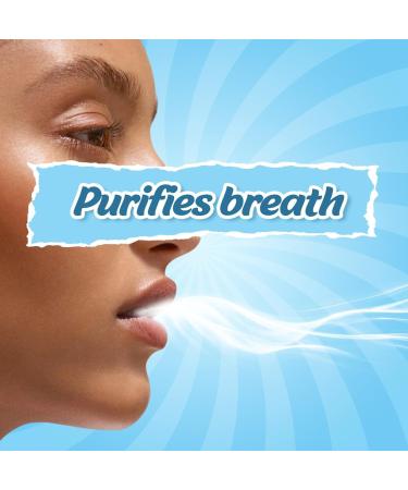 Mountain Breeze Oral Hygiene Mouth Freshener Sugar Free Cool Mint Flavoured Breath Strips (24 Strips Each Cassatte)-Pack of 1(3 Cassette) New - Buy Online on GoSupps.com
