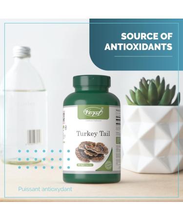 VORST Turkey Tail Mushroom Supplement 1200mg Per Serving 180 Vegan Capsules | Powder Pills | 1 Bottle 180 count (Pack of 1) - Buy Online on GoSupps.com
