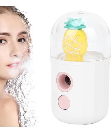 Mini Nano Facial Moisturizing Sprayer USB Charging Handheld Skin Hydrating Mist Sprayer for Face Care Pure Daily Use - Buy Online on GoSupps.com