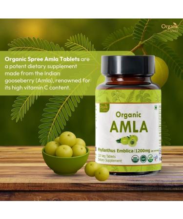 ORGANIC SPREE Aloe Vera & Amla Combo Pack- 2X120 Tablets USDA Organic Aloe Barbadensis Supplement - Buy Online on GoSupps.com