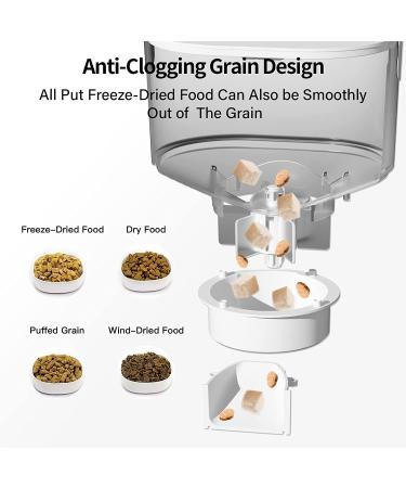 PAPIFEED Automatic Cat Feeder - Cactus Design | Convenient & Reliable - Buy Online on GoSupps.com