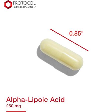 Protocol Alpha-Lipoic Acid Supplement 250mg Antioxidants for Blood Flow & Heart Health | Grape Seed Extract & Bioperine | Dairy Free & Kosher | 90 Veg Capsules - Buy Online on GoSupps.com