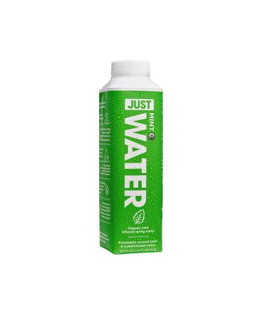 Just Water Infused Mint Flavored Spring Water | Boxed Bottled Water, Eco-Friendly & Sustainable | Low Calorie Beverage with Alkaline pH of 8.0 | No Artificial Flavors | 16.9 oz (Pack of 12) - Buy Online on GoSupps.com