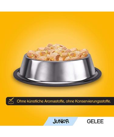 Pedigree Junior Dog Food - Vital Protection for Puppies 48 Portion Bags (12x100g) - Wet Varieties: Chicken Beef Poultry & Lamb - International Shipping Available - Buy Online on GoSupps.com