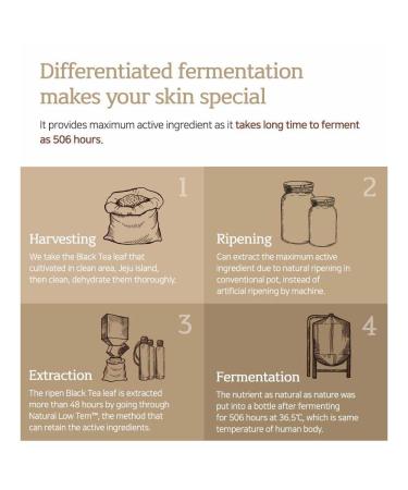 Elishacoy | Kombucha Gyeol-Biome Ampoule 50 ml / 1.69 fl oz Fermented Kombucha 506-Hour Extract, Radiance & Barrier Repair Serum-Ampoule, Vegan Skincare - Buy Online on GoSupps.com