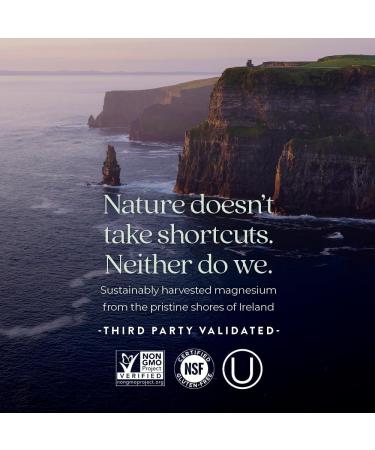 New Chapter Magnesium Complex Supplement 325mg with Magnesium Glycinate + Sea-Sourced + Fermented Forms for Heart Bone Nerve Muscle & Cellular Energy 100% Vegan 60 Tablets 60 Count (Pack of 1) - Buy Online on GoSupps.com