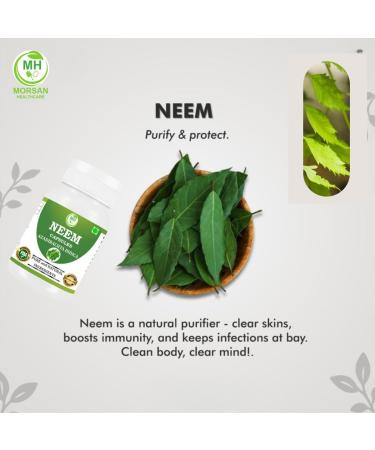 Morsan Healthcare Neem (Azadirachta Indica) Capsules - 500 mg 60 Veg Capsules | Pure Herbal Extract Non-GMO Gluten-Free Vegan No Additives | Organic Neem Supplement - Buy Online on GoSupps.com