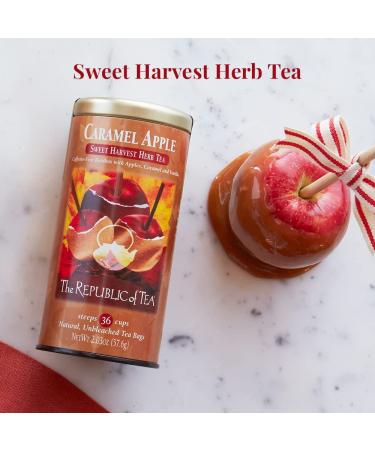 The Republic of Tea Caramel Apple Red Tea 36-Count - Packaging Varies - 1 Pack - Buy Online on GoSupps.com