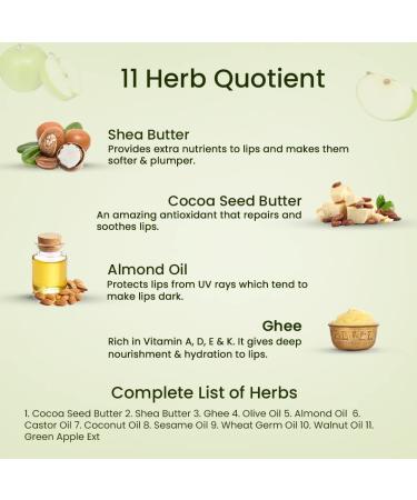 Shubhr Green Apple Lip Balm & Gloss - 100% Ayurvedic Ghee & Vitamin C Moisturizer for Dry Chapped Lips - Paraben & Sulphate Free (15g 10 Herbs) | International Shipping - Buy Online on GoSupps.com