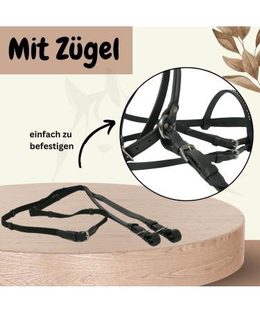 Hofleben High-Quality Wooden Horse Bridle with Reins & Frontal Ligaments - Bite-Free Accessories for Wooden Horses - Silver & Pink - Buy Online on GoSupps.com