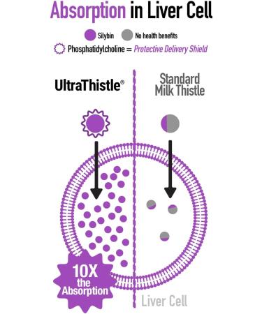 UltraThistle Herbal Liver Cleanse & Detox Formula - 1080mg - 30 Day Supply - Buy Online on GoSupps.com