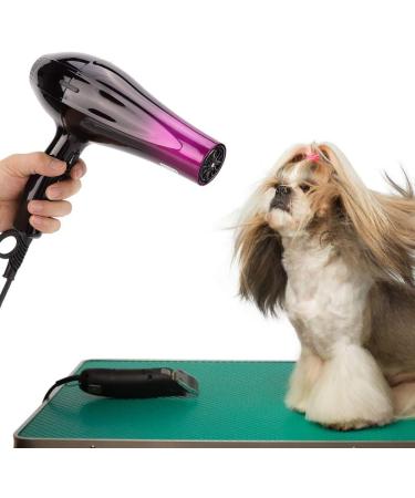Electric Hair Dryer 220V Hairdryer for Dog Pet - Buy Online on GoSupps.com