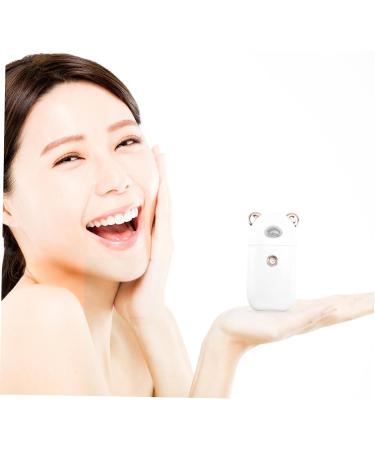 Balacoo 2 Pcs Beauty Humidifier Handheld Hair Steamer Hand Held Steamer Skin Moistener Portable Face Steamer - Buy Online on GoSupps.com