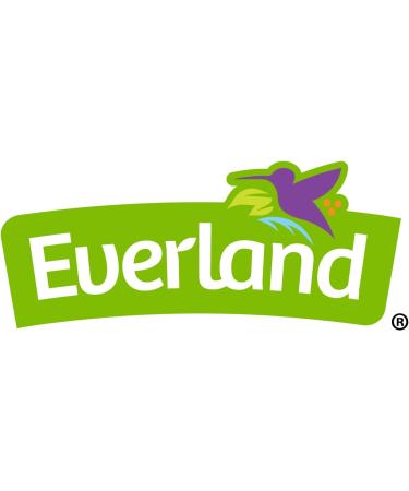 Everland Organic Cocoa Powder 250 g (Pack of 1) - Buy Online on GoSupps.com