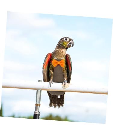 PopetPop Fly Bird Diapers - Reusable Cotton Bird Costumes for Pigeons & Parrots - Bowknots Design 12x6cm - Buy Online on GoSupps.com