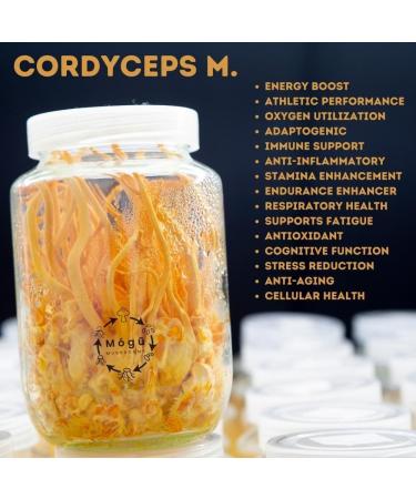 Body & Mind - Pure Organic Lion's Mane & Cordyceps Mushrooms 12:1 Dual Extract - Focus Cognition Energy Endurance - 100% Fruiting Bodies - Add to Water/Tea/Coffee/Smoothies - 125 Grams 4.41 Ounce (Pack of 1) - Buy Online on GoSupps.com