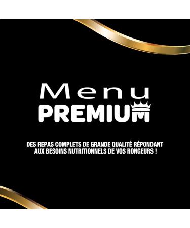 Riga - Premium Menu for Granivorous Rodents - Mix of Seeds Cereals Vegetables Fruits and Nuts - Tri-Nutrition Concept - Ri - Buy Online on GoSupps.com