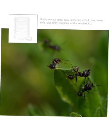 POPETPOP 2pcs Pet Water Feeder Pet Stuff Pet Water Bowl Ant Villa Ants Drinking Tool Small Water Cup - Buy Online on GoSupps.com