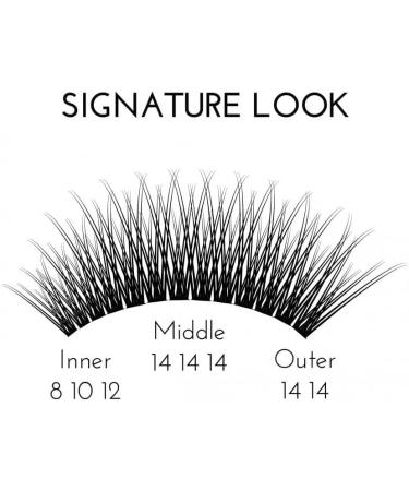 Individual Cluster Lashes In Spotlight D curl 8mm Extra Short Faux Mink Wispy EyeEnvy Express Lash Extensions - Buy Online on GoSupps.com