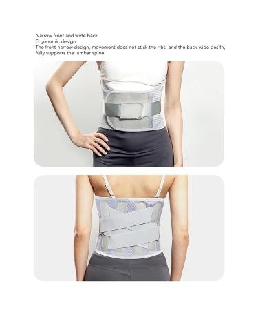 XL Lower Back Brace - Breathable Support Belt for Pain Relief & Stable Lumbar Support - Ideal for Lower Back Pain Relief - Buy Online on GoSupps.com