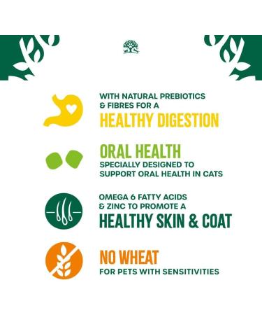 James Wellbeloved Cat Adult Hypoallergenic Dry Food Oral Care Turkey 10 kg - Buy Online on GoSupps.com