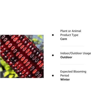 Jimmy Red Moonshine Grits Premium Heirloom Corn Seed Packet - Buy Online on GoSupps.com