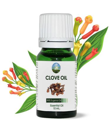 NPOW Clove Oil for Toothache Pain Relief Cloves Oil - Oil of Cloves for Toothache Clove Essential Oil Tooth Pain Relief Clove Oil Essential Oil Clove Oil for Teeth Clove Oil for Skin - 10ml 10 ml (Pack of 1)