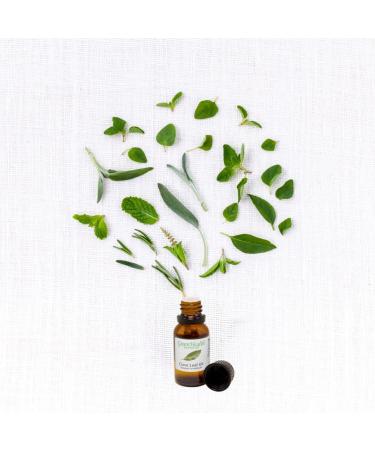 GreenHealth Clove Leaf 1/3 fl oz (10 ml) Glass Bottle 100% Pure Essential Oil - Buy Online on GoSupps.com