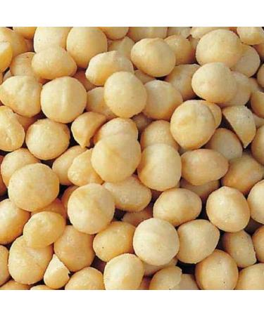 Farm Fresh Nuts Dry Roasted Macadamia Nuts Unsalted - 1 lb. Keto & Vegan Friendly - Buy Online on GoSupps.com