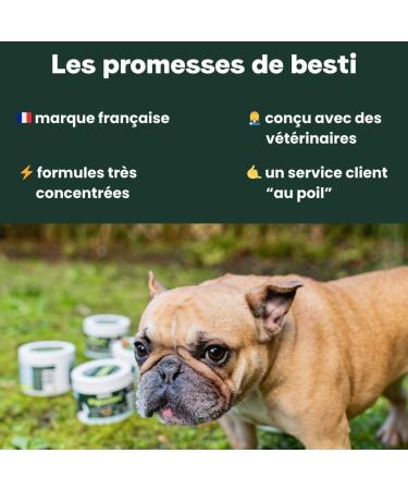 BESTI - Joints | 75 Premium Food Supplements for Dogs | Anti-Arthrosis Improves Joint Mobility and Cartilage | French Brand - Veterinary Formula | With Chicken | 300 GR - Buy Online on GoSupps.com