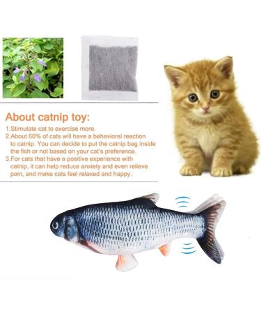 Interactive Bangshou Catnip Fish Toy - Electric Plush Carp for Cats & Kids | Washable Cat Toys - Buy Online on GoSupps.com