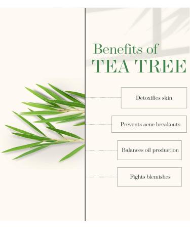 Good Vibes Tea Tree Skin Cleansing Toner - 120 ml - Cleanses Skin Unclogs Pores & Maintains Skin pH Level - Buy Online on GoSupps.com