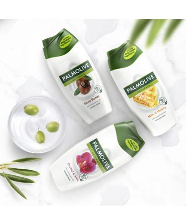 Buy Palmolive Bagno Wellness Nourish Shower Gel 500ml | Hydrating & Refreshing Body Wash - International Shipping Available - Buy Online on GoSupps.com