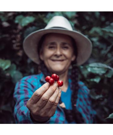 Cascardia Cascara Cherry Tea - Rich in Antioxidants Vitamins and Superfood Properties - Fruity Tea with Natural Caffeine for Energy and Refreshment (125g) - Perfect Alternative to Coffee - Buy Online on GoSupps.com