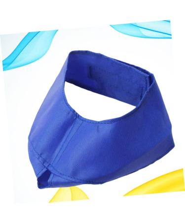 Shop Minkissy Fish Shells Dog Sweater & Glasses | Puppy Eye Flap & Cat Eye Mask - Blue Pet Apparel for Pets with Blindness - Buy Online on GoSupps.com