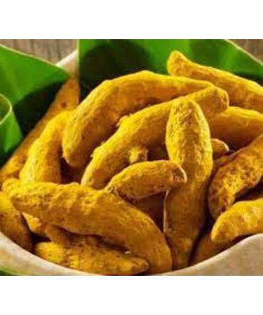 AYURVEM HERBS Whole Turmeric Stick | Organically Grown Haldi Gatiya| Sabut Haldi | Whole Haldi yellow