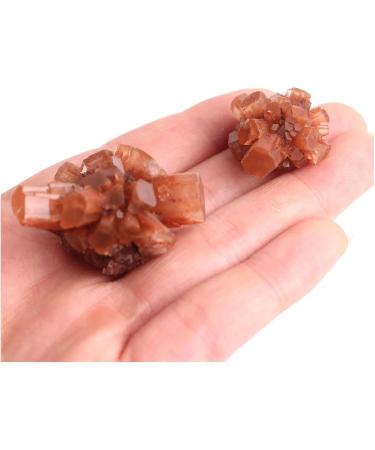 Natural Rare Orange Aragonite Quartz Crystal Cluster Shape Rough Stone Cluster Nepheline Specimen qiangang (Color : 50-70g Size : 2pcs Aragonite) 2pcs aragonite 50-70g - Buy Online on GoSupps.com