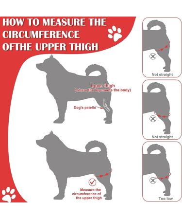 Dog Leg Brace Arthritis Relief Joint Protection Pain Reduction 1 Pair Flexible Dog Knee Pads Recovery (M) - Buy Online on GoSupps.com