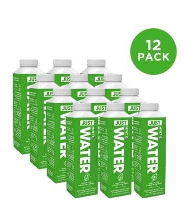 Just Water Infused Mint Flavored Spring Water | Boxed Bottled Water, Eco-Friendly & Sustainable | Low Calorie Beverage with Alkaline pH of 8.0 | No Artificial Flavors | 16.9 oz (Pack of 12) - Buy Online on GoSupps.com