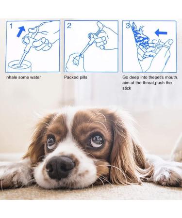 Segminismart Tablet Support for Cats & Small Dogs | Automatic Tablet Feeder & Divider | Easy Pet Medication Administration - Buy Online on GoSupps.com