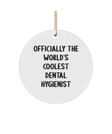 Dental Hygienist Gifts from Men to Dental Hygienist at Christmas - Officially The World's Coolest Dental Hygienist Circle Ornament