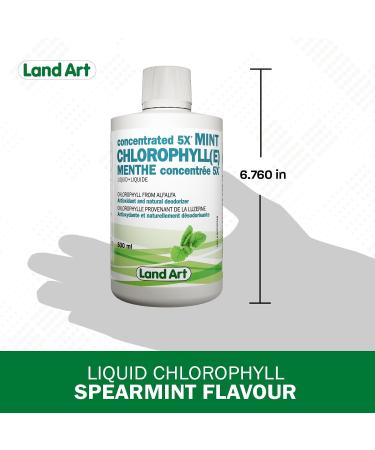 Liquid Chlorophyll Mint 5X Concentrated 500ml Cold Extracted from Non-GMO Alfalfa - Detox - Alkaline - Natural Body Deodorant Antioxidant - Made in Canada - Buy Online on GoSupps.com