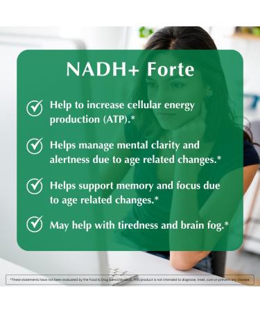 PROVITA NADH+ Forte | Cognitive Support Supplement with NADH Coenzyme Q10 & Chlorophyll | Energy Support Focus Mental Clarity & Brain Health | Vegan Capsules | High Absorption Cellular Formula 30 Count (Pack of 1) - Buy Online on GoSupps.com