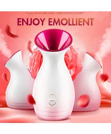 Machine Pulv risation Hydratant Spray Visage Vapeur M nages Hydratant Beaut Instrument Nano Spray Mise Hors Tension Automatique - Buy Online on GoSupps.com
